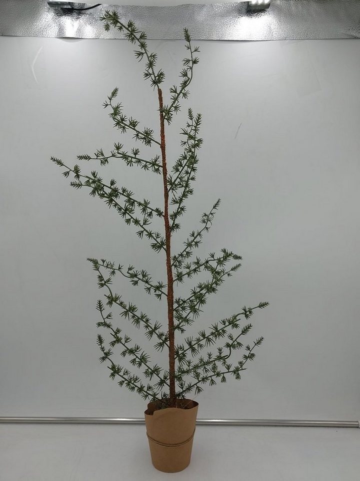 Kunstpflanze Zeder im Topf 80cm künstliche Pflanze Weihnachtsdeko  Kunstpflanze, BURI