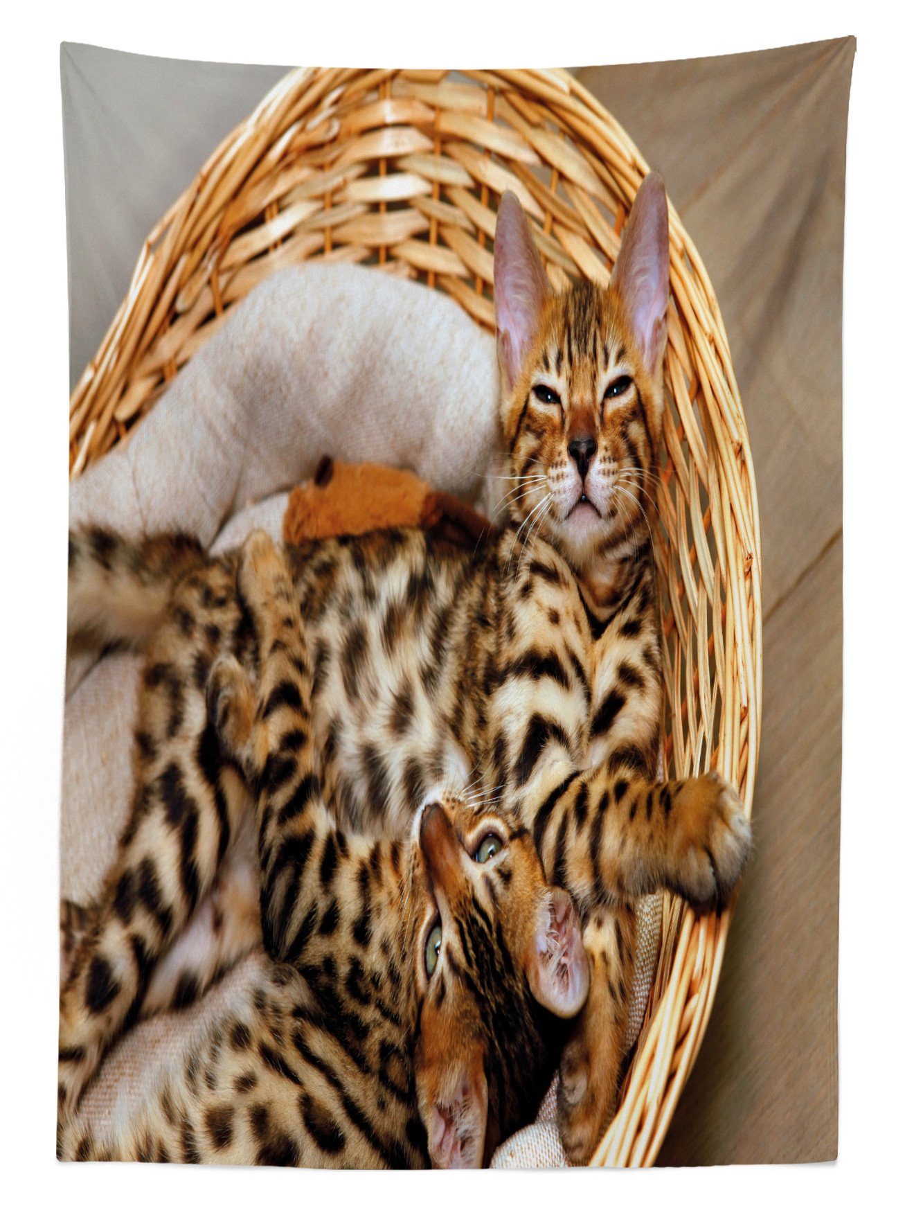 Tischdecke Farben, Kätzchen Klare Außen Für Abakuhaus Bengal-Katzen Bereich Waschbar geeignet im Farbfest Korb den