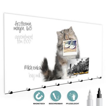 Primedeco Garderobenpaneel Magnetwand und Memoboard aus Glas Katze sitzend