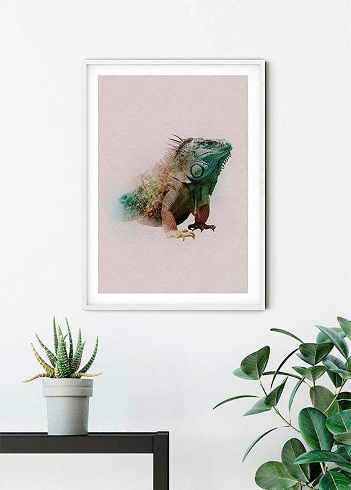 Iguana, Kinderzimmer, (1 Schlafzimmer, St), Paradise Wohnzimmer Poster Tiere Animals Komar