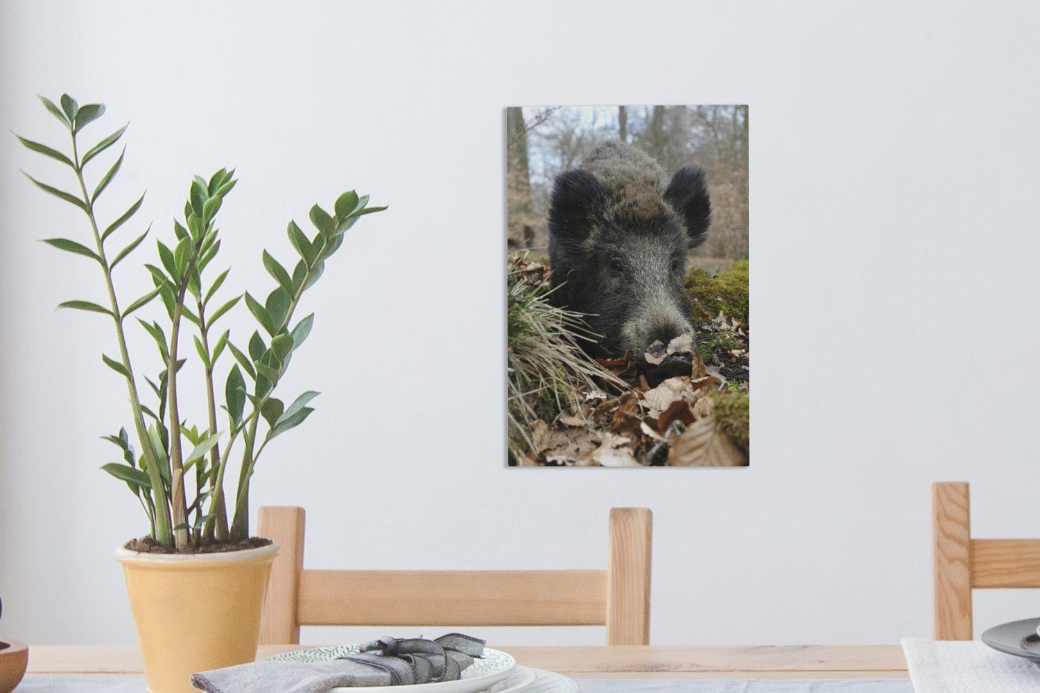 St), - Leinwandbild cm Leinwandbild Zackenaufhänger, Wald OneMillionCanvasses® fertig Wildschwein Tier, 20x30 (1 Gemälde, bespannt - inkl.