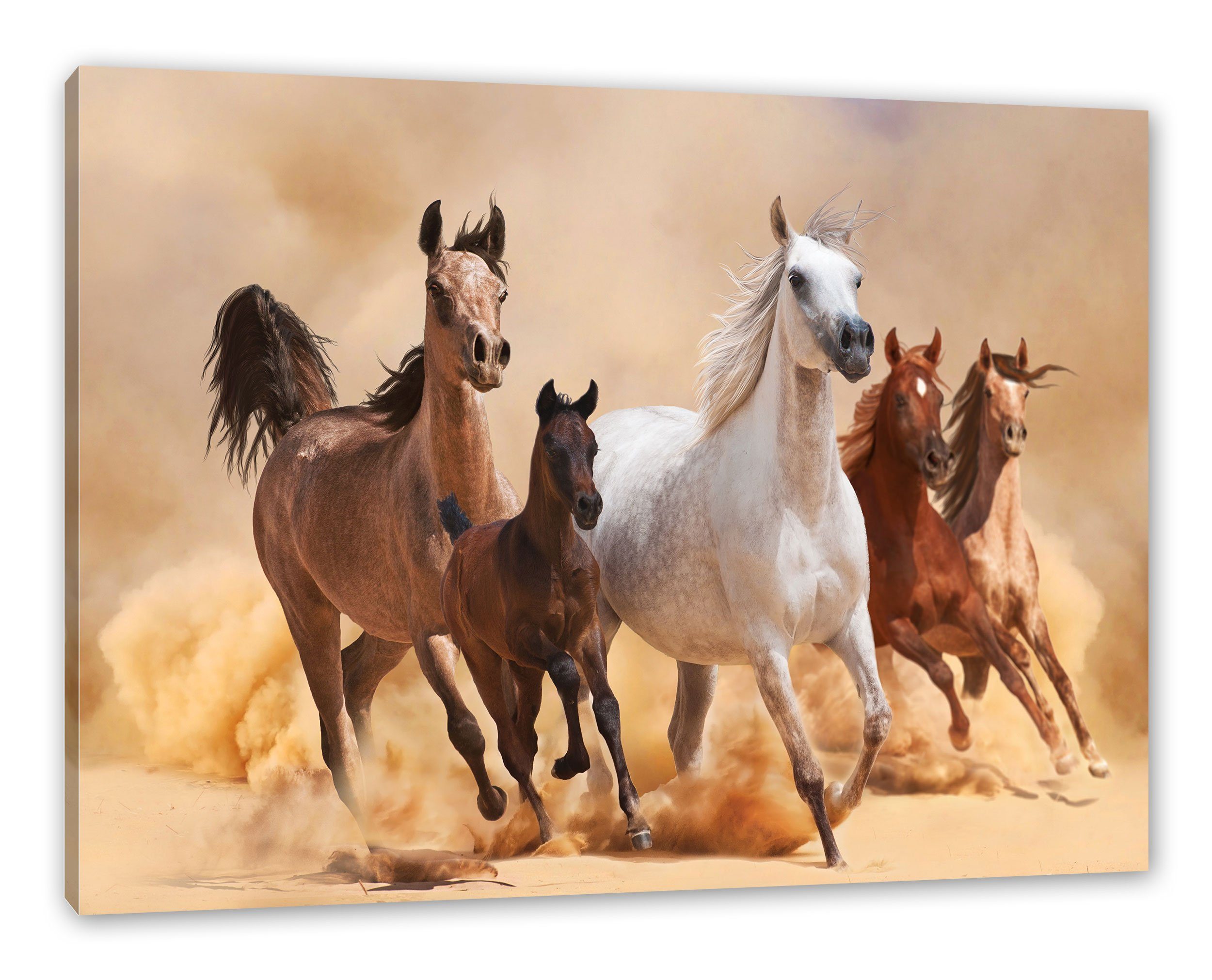 Pixxprint Leinwandbild Western Pferde mit Fohlen, günstig online kaufen