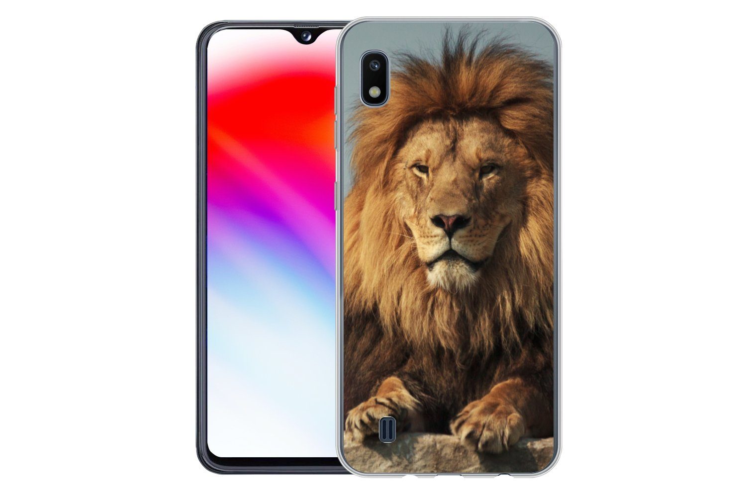 MuchoWow Handyhülle für Samsung Galaxy A10 Löwe - Felsen - Porträt, Smartphone-Bumper, Print, Handy Schutzhülle Dünn