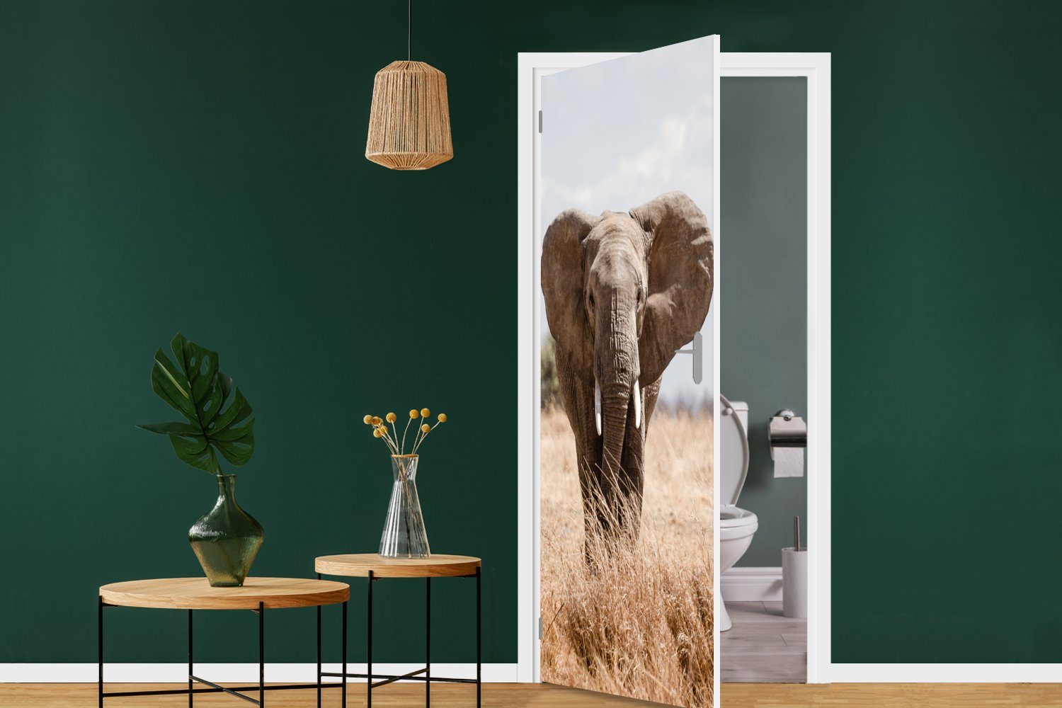 MuchoWow Türtapete Elefant - 75x205 Fototapete (1 cm - bedruckt, - Tiere Türaufkleber, St), für Natur Matt, Porträt, Tür