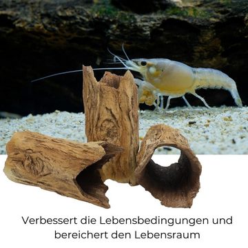 GarPet Aquariendeko Aquarium Deko XXL Baumstamm Ablaich Ton Höhle Röhre Barsch Fisch Krebs