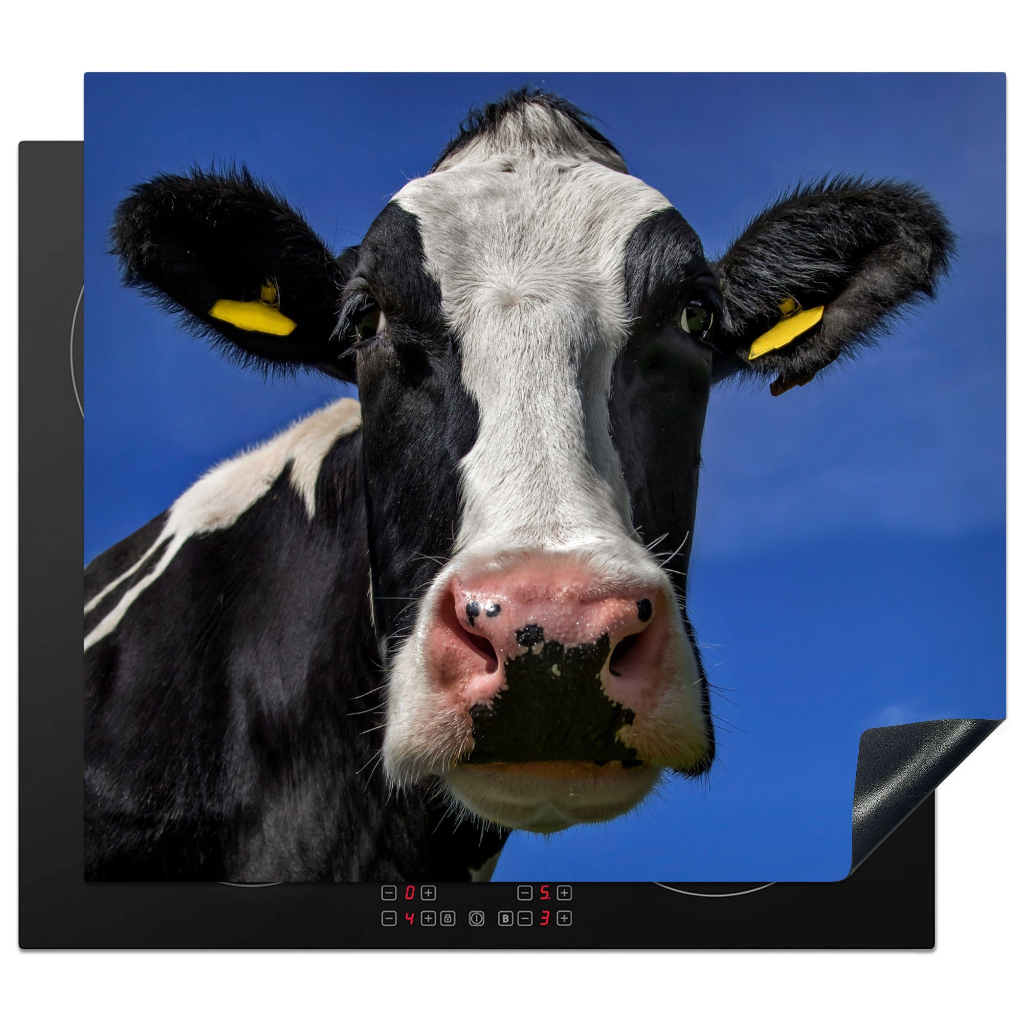 küche, Induktionsmatte Ceranfeldabdeckung Tiere, - Vinyl, für - Blau Kuh MuchoWow die cm, Herdblende-/Abdeckplatte (1 tlg), 59x52