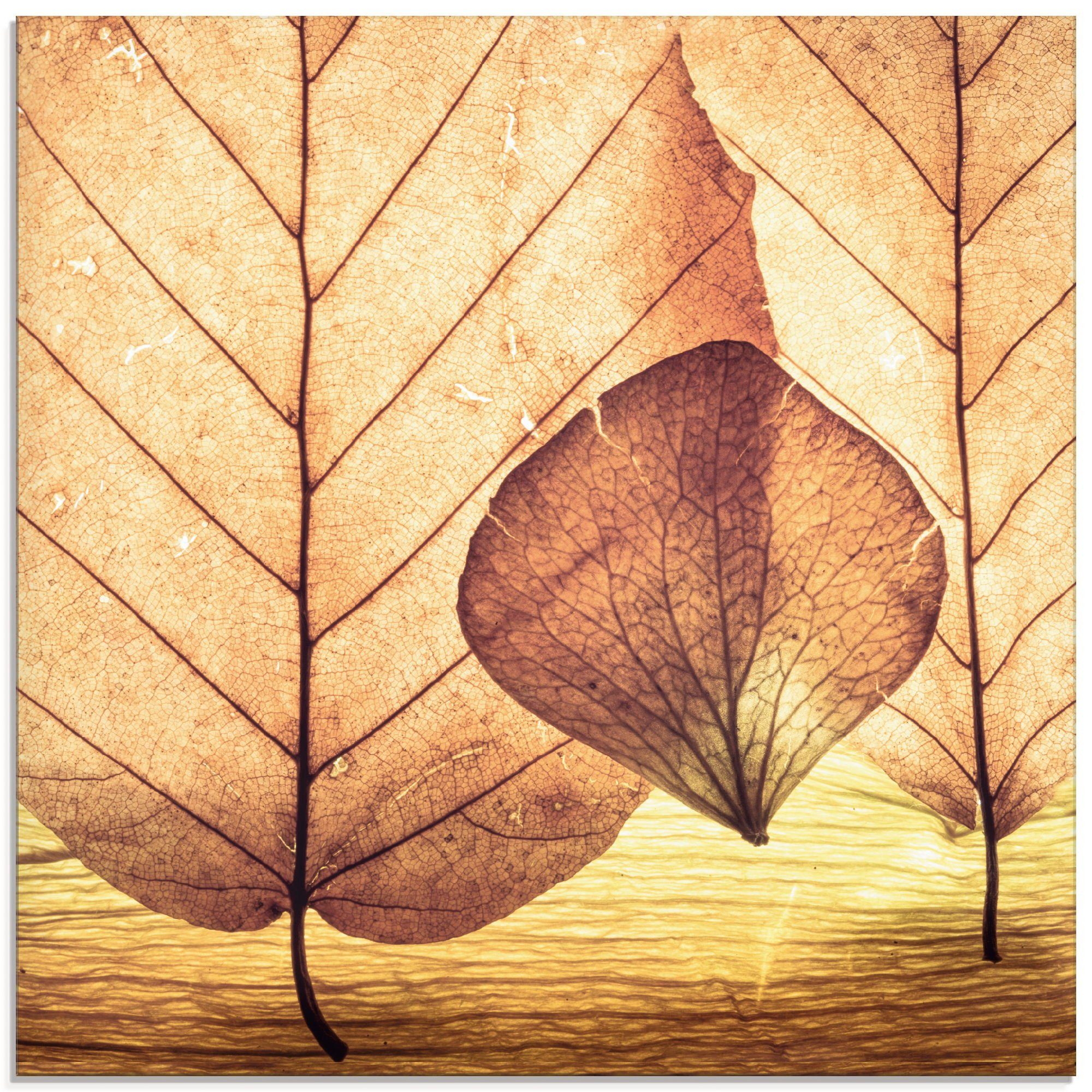 Artland Glasbild Losgelöst, Blätter (1 St), in verschiedenen Größen