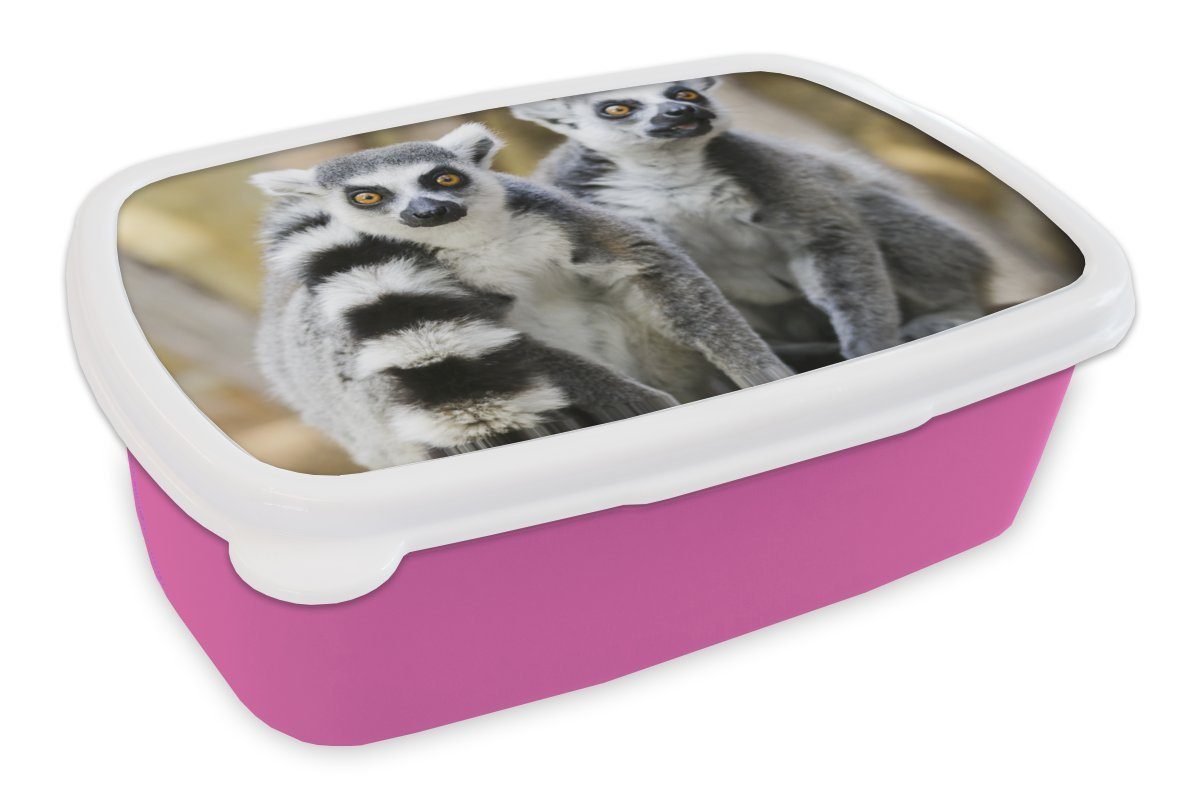 MuchoWow Lunchbox Affe - Ringschwanzlemur - Tier, Kunststoff, (2-tlg), Brotbox für Erwachsene, Brotdose Kinder, Snackbox, Mädchen, Kunststoff rosa