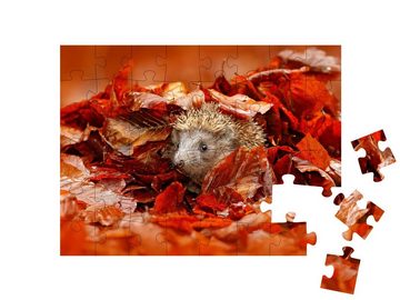 puzzleYOU Puzzle Kleiner Igel versteckt im bunten Herbstlaub, 48 Puzzleteile, puzzleYOU-Kollektionen Igel, Herbst, Himmel & Jahreszeiten