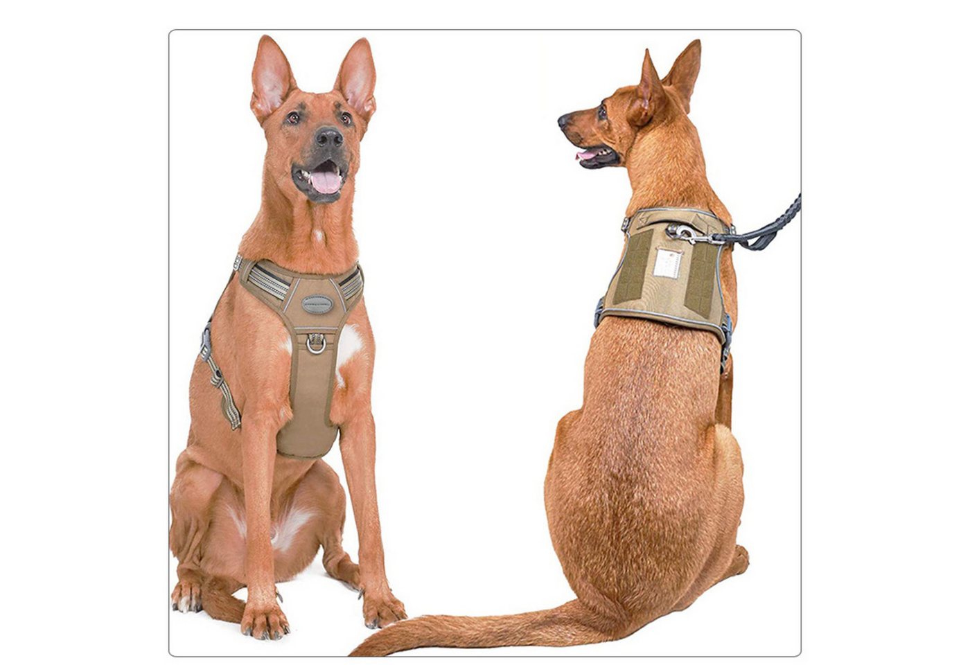 Thumbnail - BYSURE Hundeweste, Hundegeschirr, Metall Taktisches Geschirr, Taktische Hundeweste