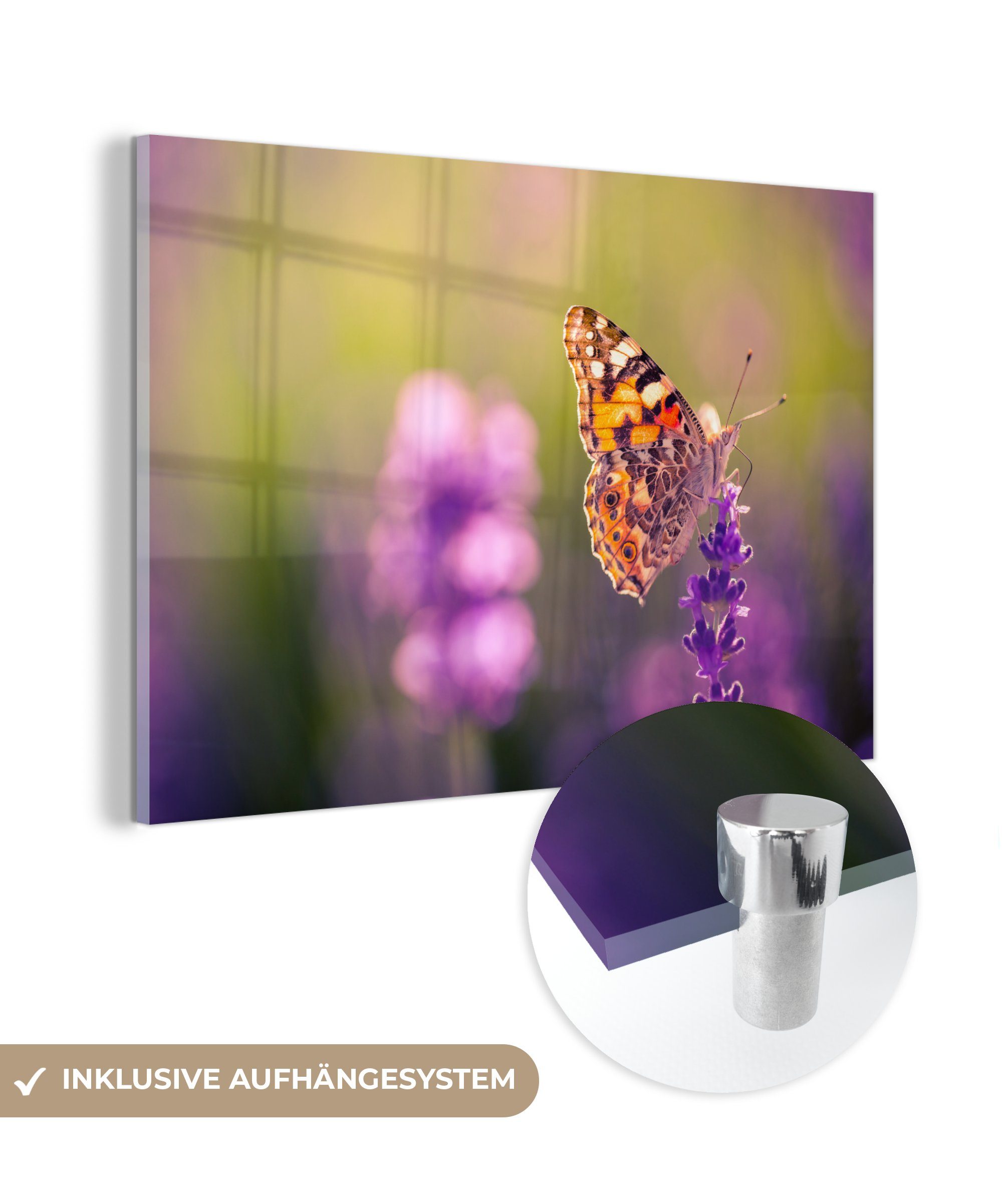 MuchoWow Acrylglasbild Nahaufnahme Schmetterling im Lavendelfeld, (1 St), Acrylglasbilder Wohnzimmer & Schlafzimmer