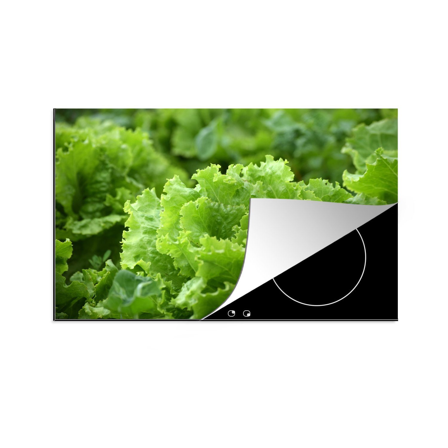 MuchoWow Herdblende-/Abdeckplatte Nahaufnahme eines Salatkopfes, Vinyl, (1 tlg), 81x52 cm, Induktionskochfeld Schutz für die küche, Ceranfeldabdeckung