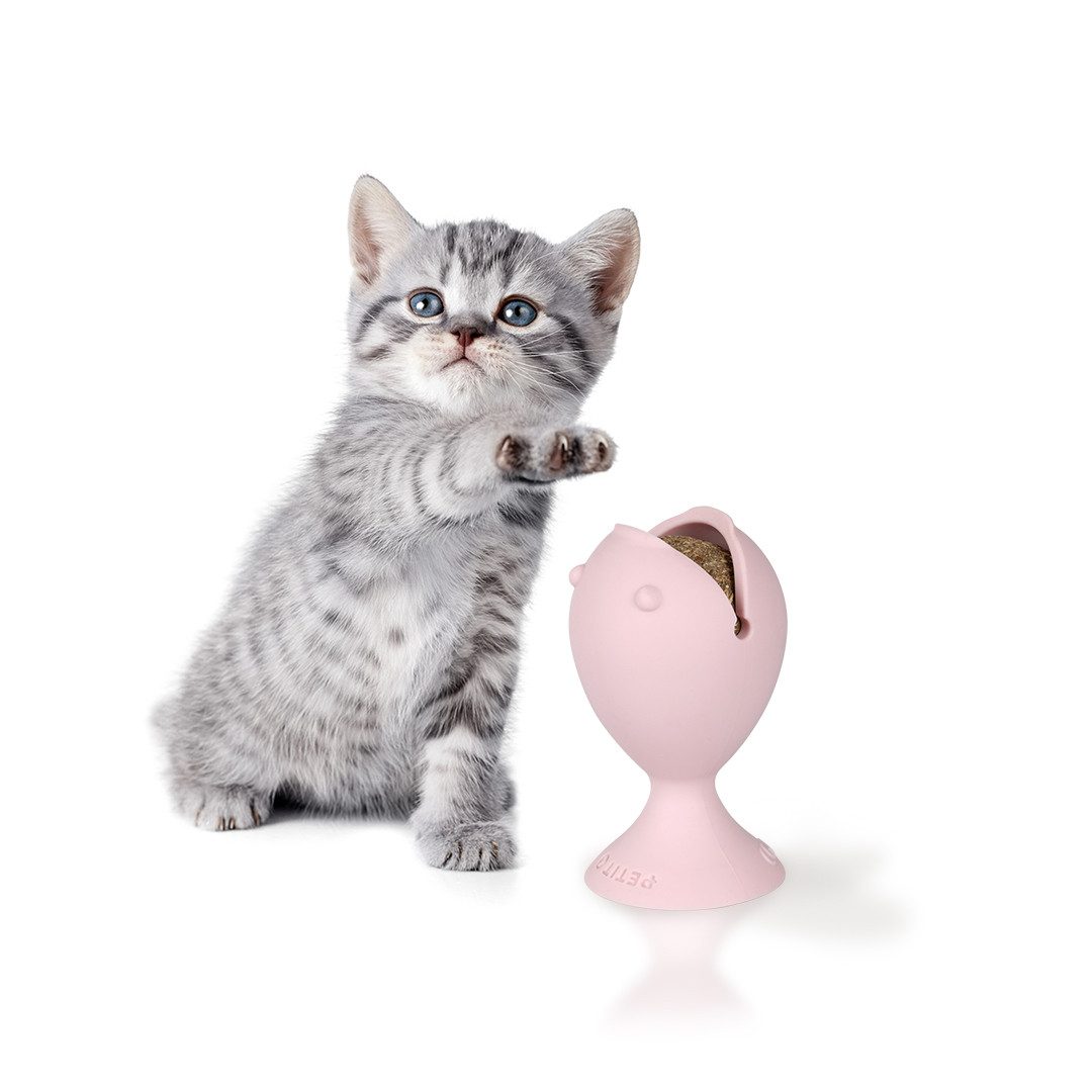 EBI Tier-Intelligenzspielzeug Petit PUFFI Knabberspielzeug mit Katzenminzeball