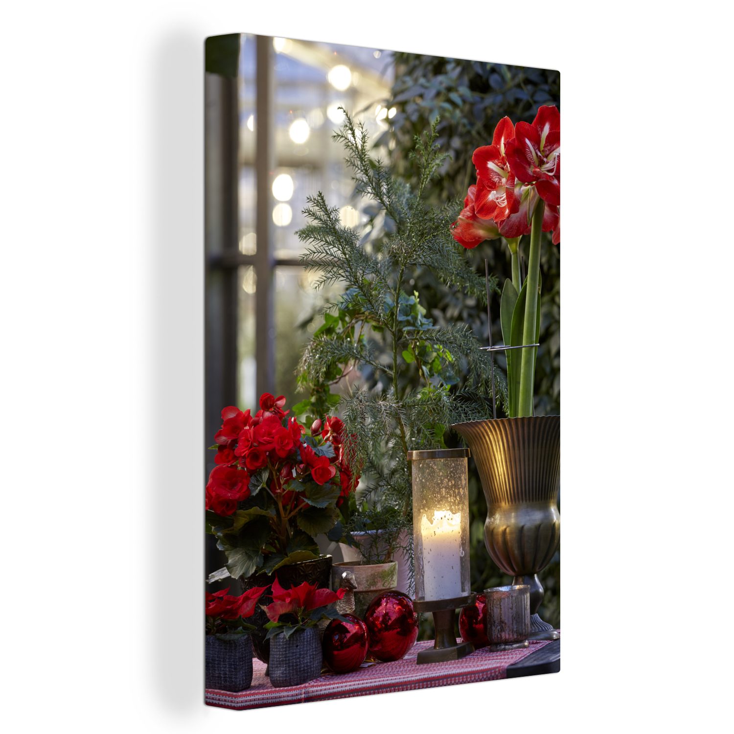 Leinwandbild Weihnachtssterne - Weihnachtsblumen