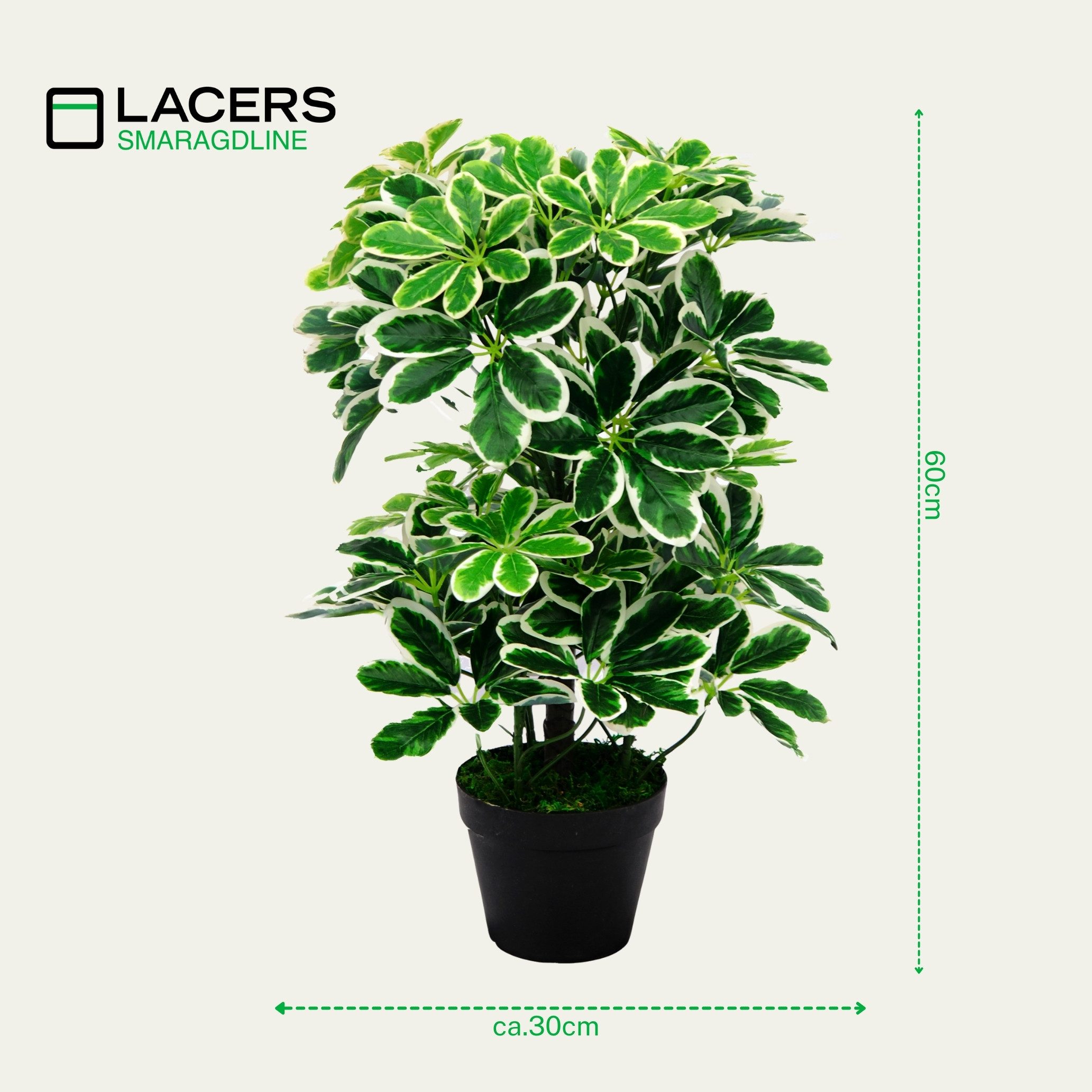 Kunstpflanze SMARAGDLINE künstliche Grünpflanzen in verschiedenen Ausführun günstig online kaufen