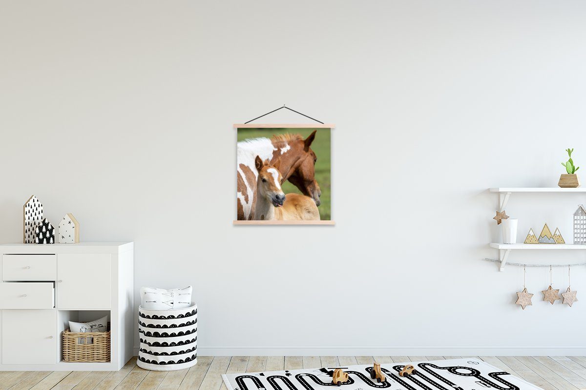 MuchoWow Poster Pferde - Fohlen - Gras, (1 St), Posterleiste, Textilposter für Wohnzimmer, Bilderleiste, Magnetisch