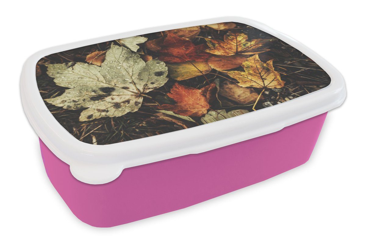 MuchoWow Lunchbox Herbstblätter - Herbst Brotbox Brotdose Kinder, Snackbox, rosa Jahreszeiten - Erwachsene, für - Kunststoff Natur, Mädchen, Kunststoff, (2-tlg)