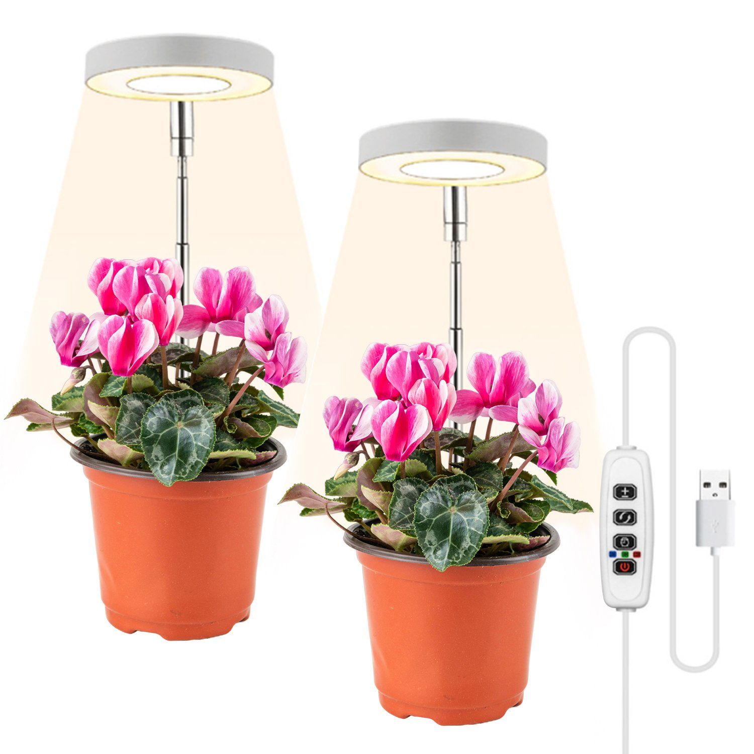 Lospitch Pflanzenlampe LED Pflanzenlicht Dimmbar 2 Ring Gewächshaus Wachstumslampe mit Timer, Gewächshaus Sukkulenten Blumen