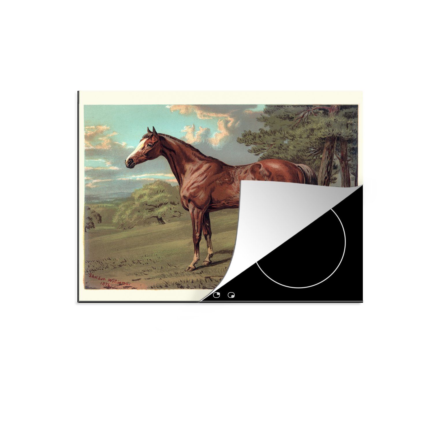 MuchoWow Herdblende-/Abdeckplatte Pferd Arbeitsfläche Ceranfeldabdeckung cm, (1 - 60x52 tlg), Vinyl, Wald - Jahrgang, nutzbar, Mobile