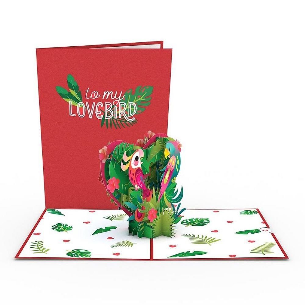 Glückwunschkarte Pop-Up My Lovepop Card Lovebird Lovepop To