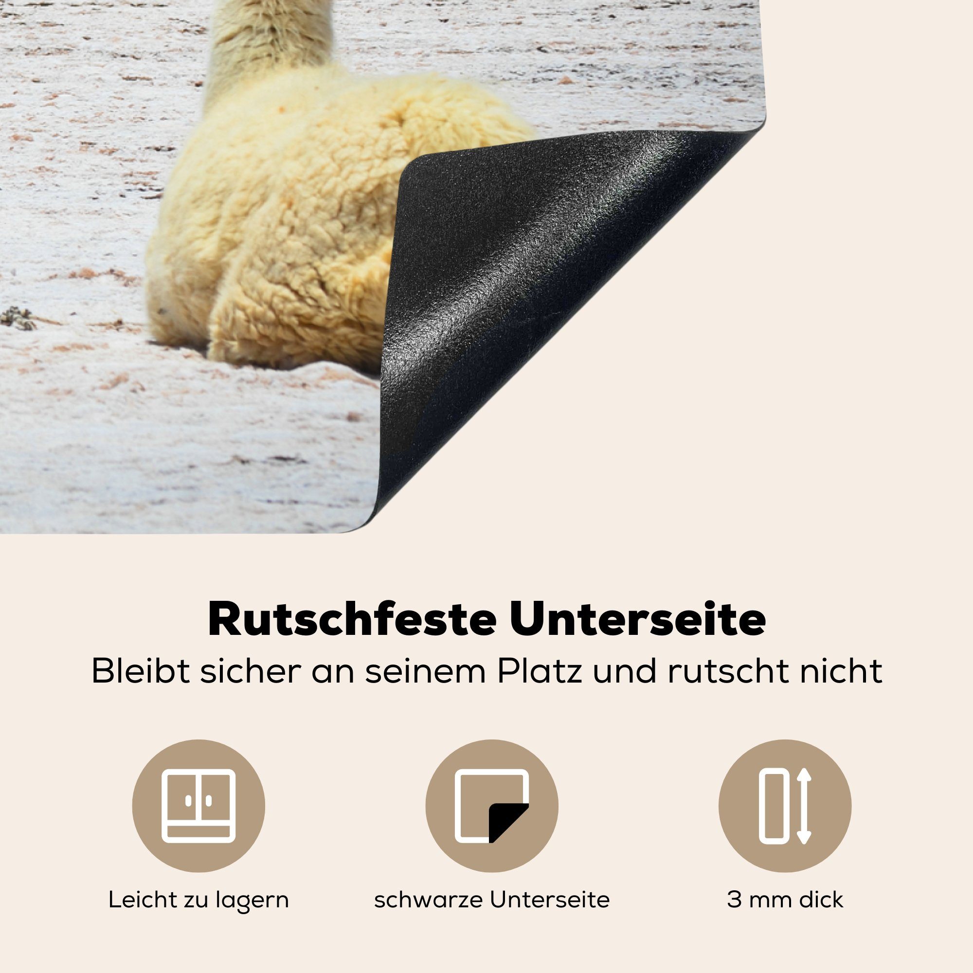 Herdblende-/Abdeckplatte für Tiere - (1 Vinyl, tlg), küche, - Schutz Lama MuchoWow Sand, die cm, 81x52 Ceranfeldabdeckung Induktionskochfeld