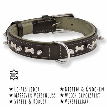 Monkimau Hunde-Halsband »Hundehalsband aus Leder mit Knochen und Nieten«, Leder