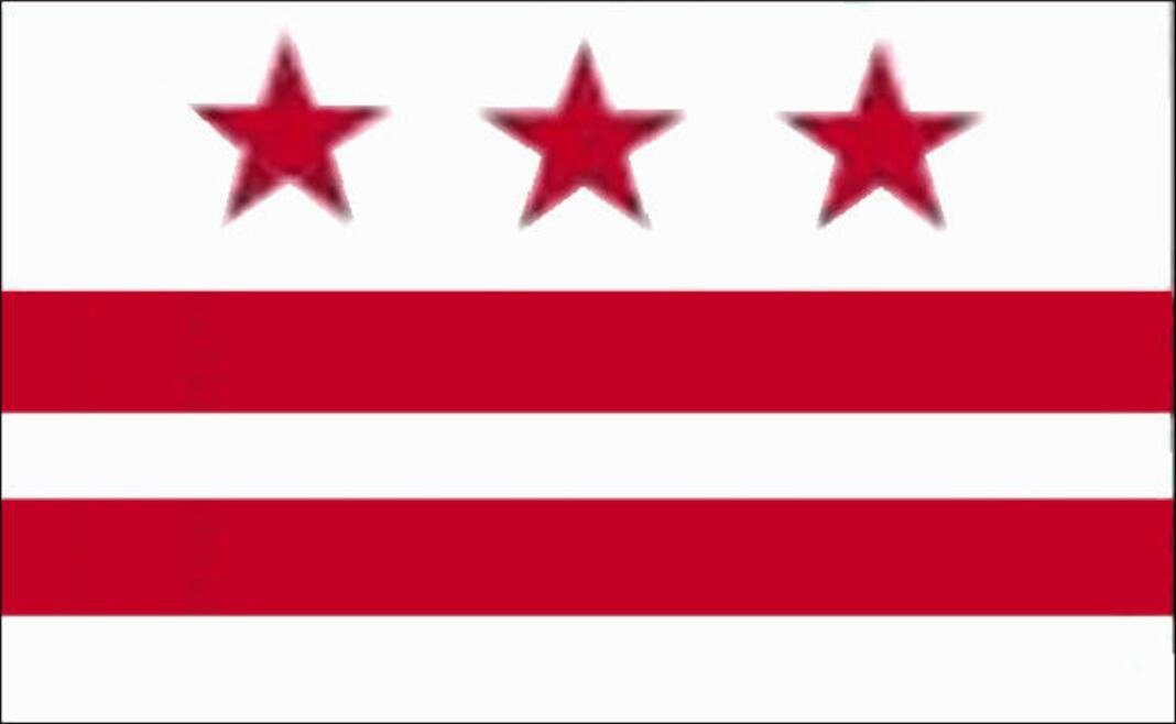 flaggenmeer Flagge District of Columbia 80 g/m²