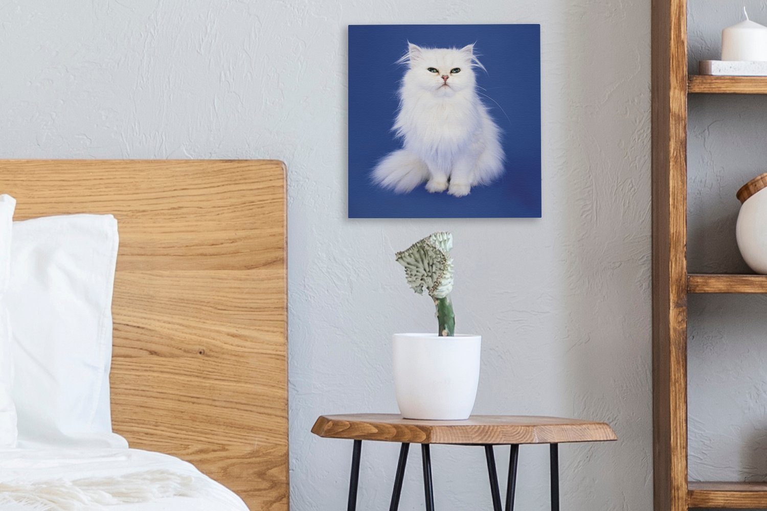 Perserkatze OneMillionCanvasses® (1 für Hintergrund, Bilder Schlafzimmer Leinwandbild Leinwand mit St), Wohnzimmer Weiße blauem