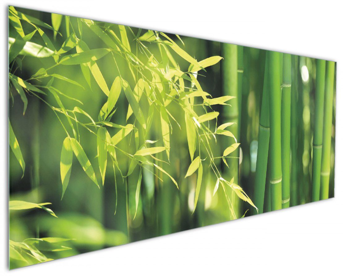 Wallario Küchenrückwand Bambuswald mit grünen Bambuspflanzen, (1-tlg)
