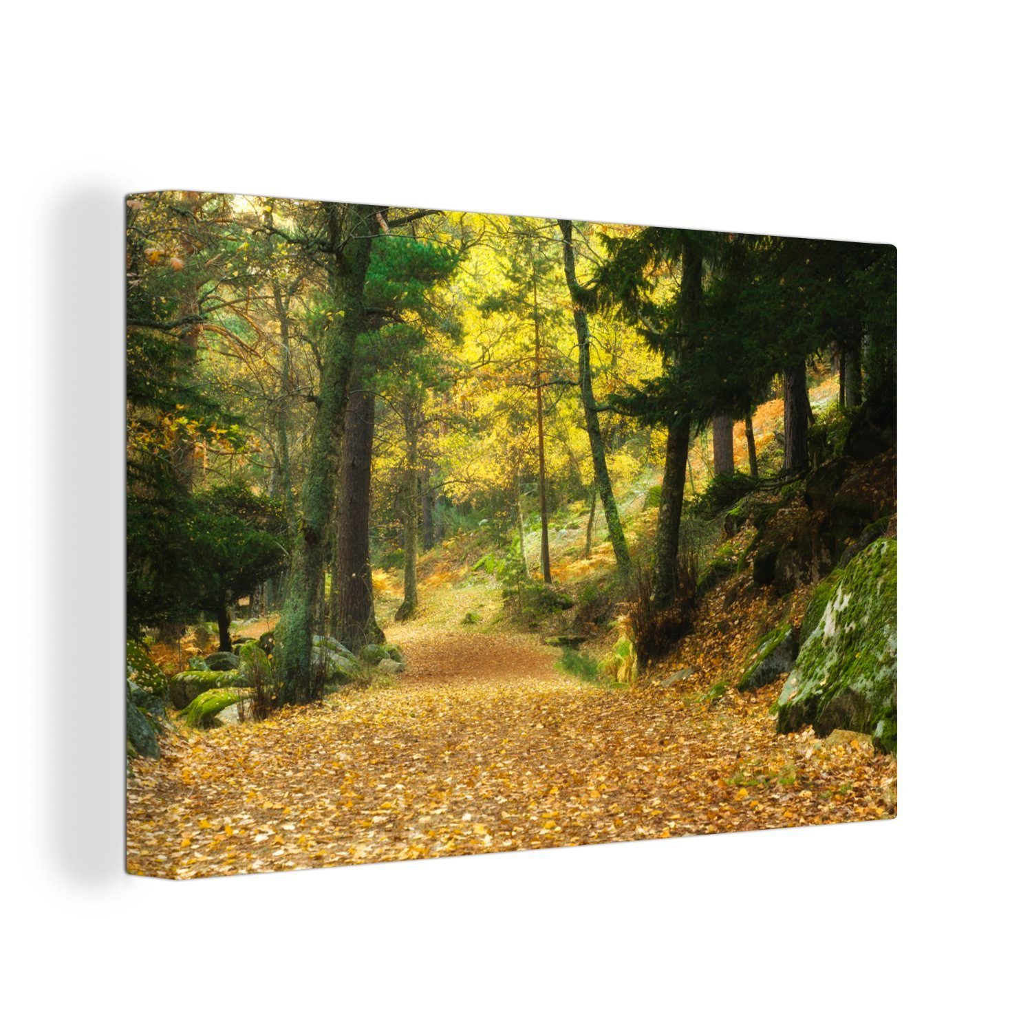 OneMillionCanvasses® Leinwandbild Herbstliche Wälder im Nationalpark Sierra de Guadarrama in Spanien, (1 St), Wandbild Leinwandbilder, Aufhängefertig, Wanddeko, 30x20 cm