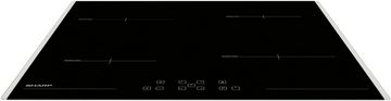 Sharp Backofen-Set Pyro_Extraset_Graphit_Induktion, Pyrolyse-Selbstreinigung