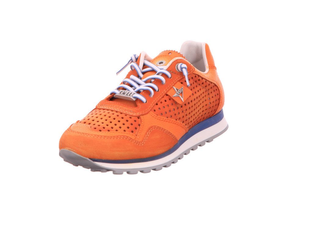 Cetti C848 ambar Schnürschuh
