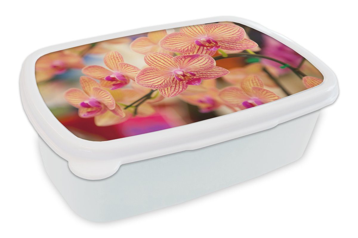 MuchoWow Lunchbox Pflanze - Orchidee - Blumen - Rosa - Flora, Kunststoff, (2-tlg), Brotbox für Kinder und Erwachsene, Brotdose, für Jungs und Mädchen weiß
