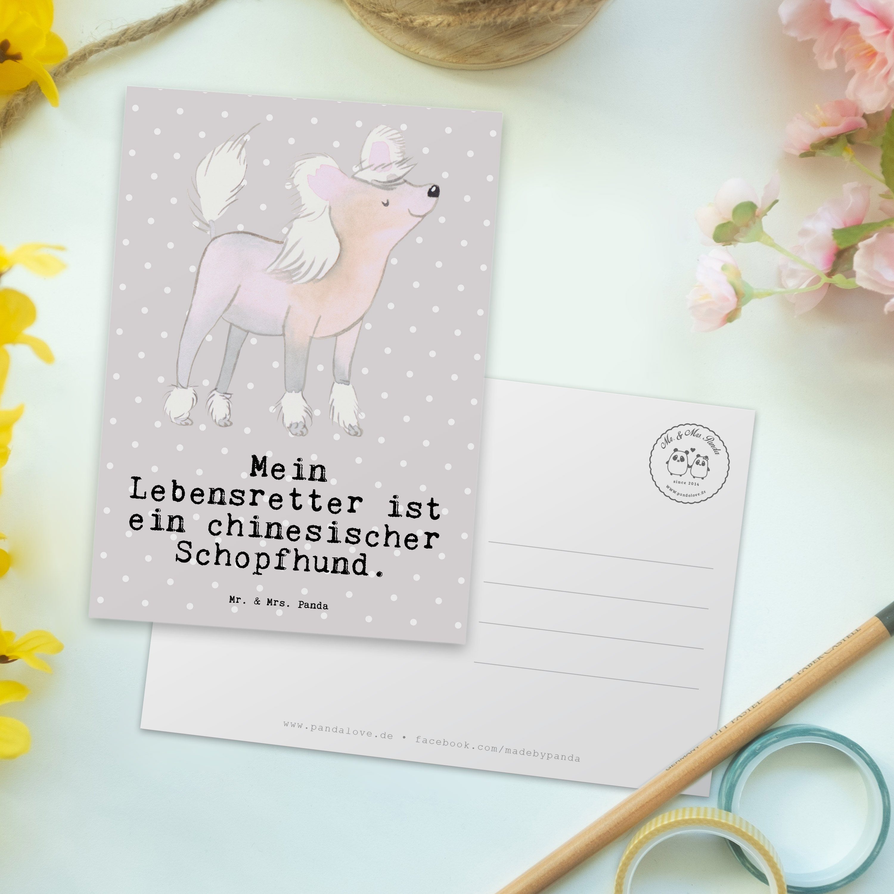 Lebensretter Pastell & Geschenk, - Einla Schopfhund - Mrs. Chinesischer Mr. Postkarte Grau Panda