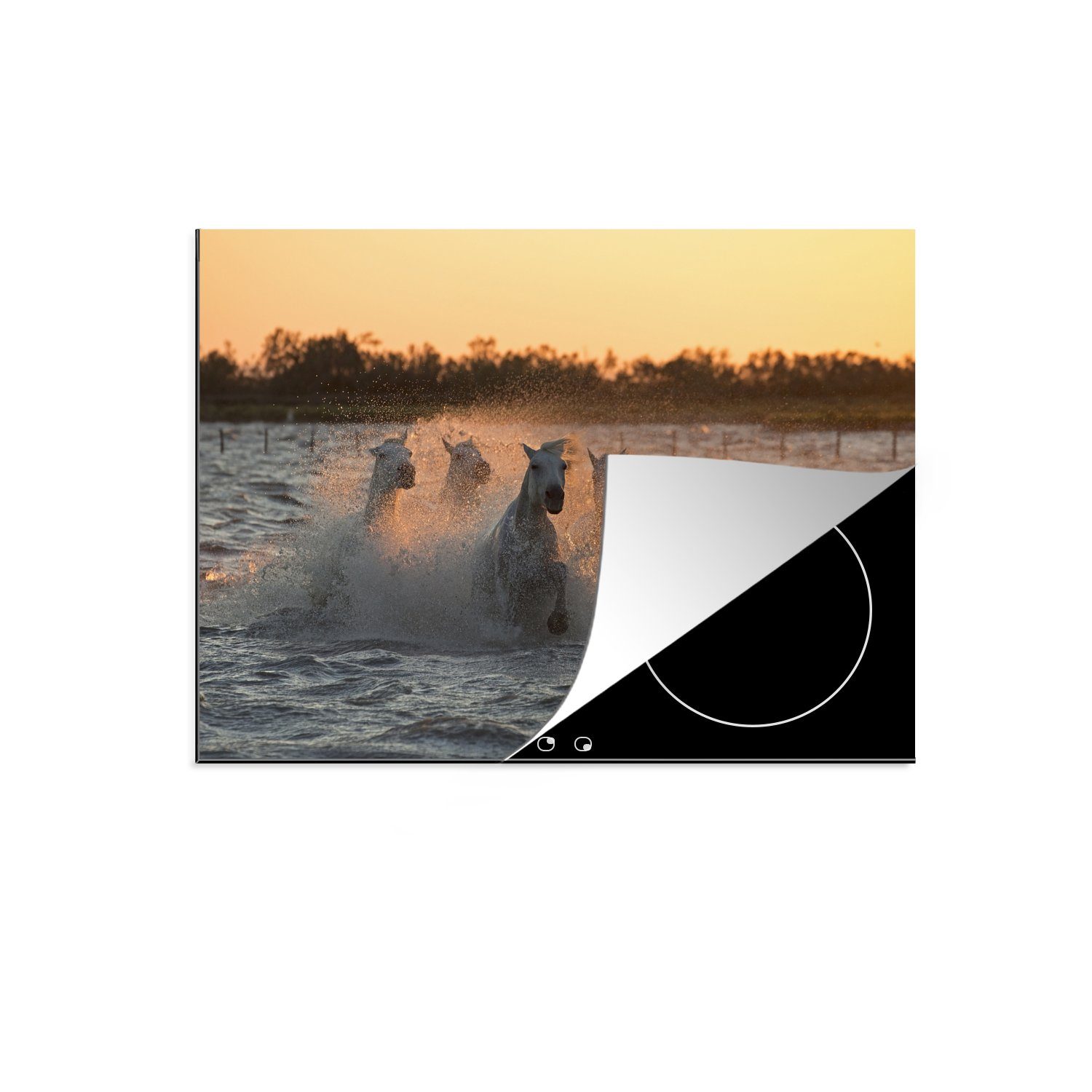 MuchoWow Herdblende-/Abdeckplatte Pferde galoppieren durch tiefes Wasser in der Camargue, Vinyl, (1 tlg), 70x52 cm, Mobile Arbeitsfläche nutzbar, Ceranfeldabdeckung