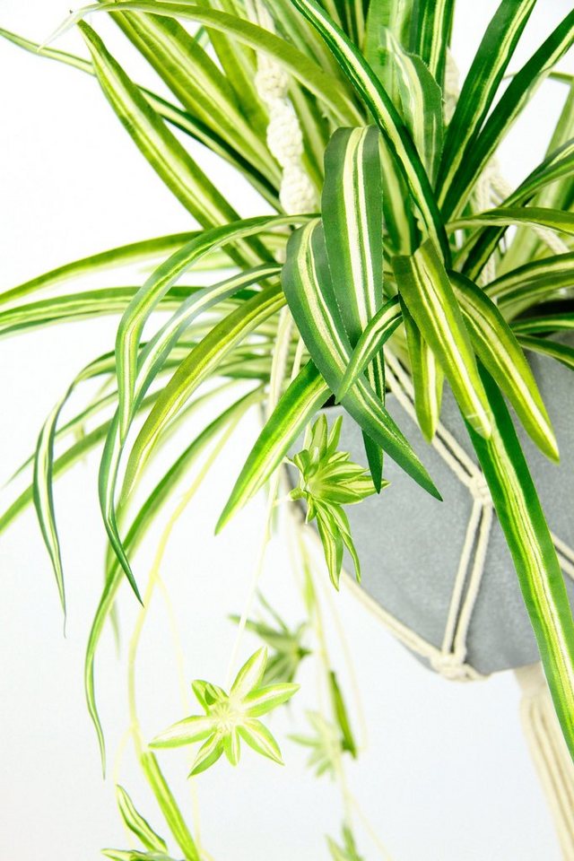 Künstliche Zimmerpflanze »Wasserlilie«, I.GE.A., Höhe 95 cm, im Kunststofftopf, mit Hängeampel-HomeTrends