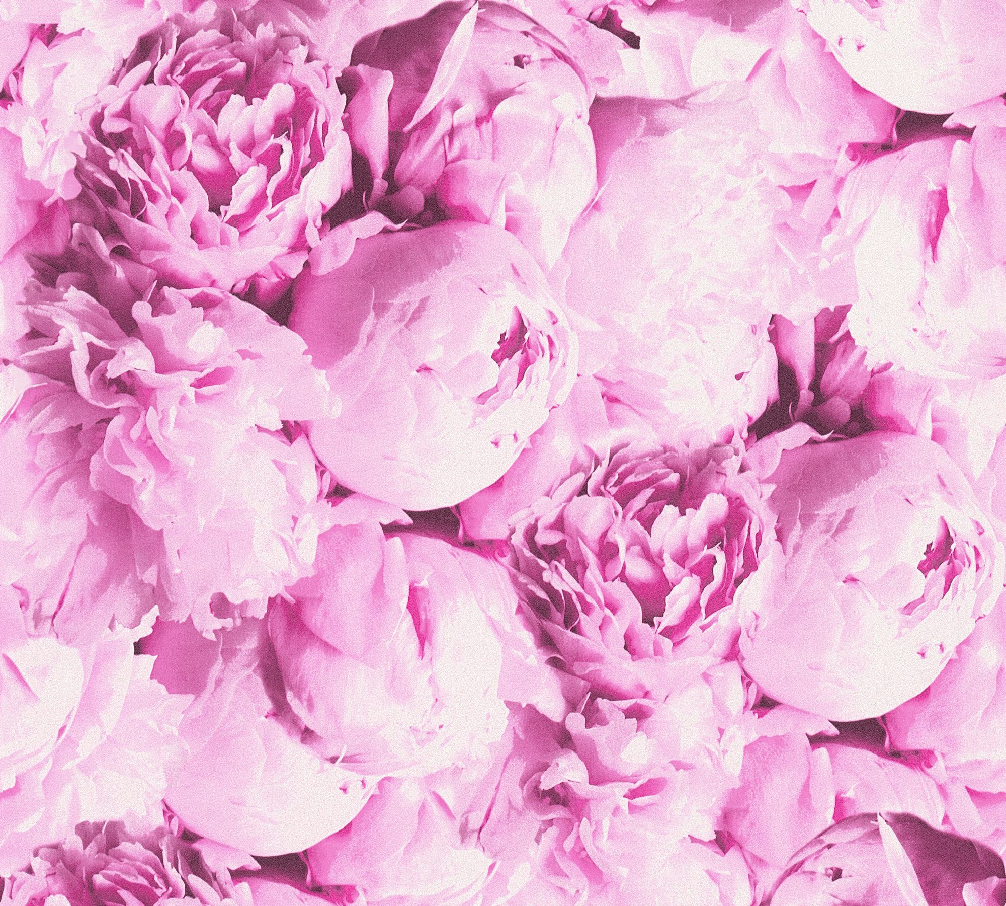 Blumen 2.0 Création mit floral, Bude A.S. Flowery Neue Vliestapete Tapete rosa/pink romantischen Rosen, Romantic Floral
