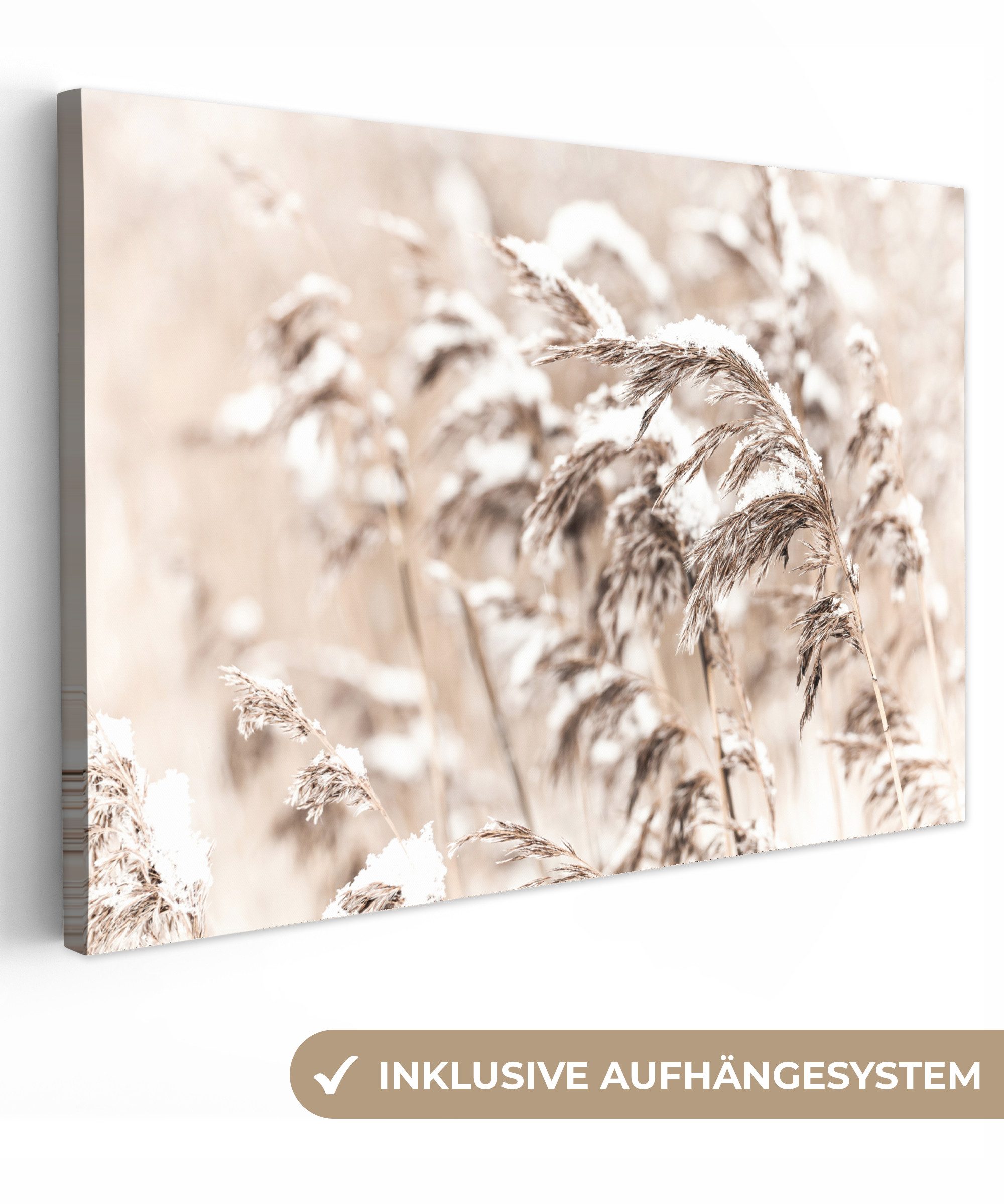 OneMillionCanvasses® Leinwandbild Winter - Pflanzen - günstig online kaufen