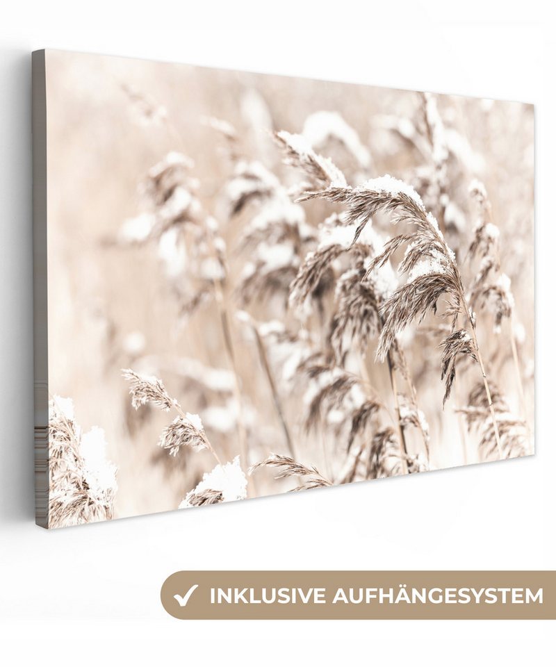 OneMillionCanvasses® Leinwandbild Winter - Pflanzen - Schnee - Natur - Jahreszeiten, Fotodruck (1 St), Leinwand Bilder Klein, Wand Dekoration Aesthetic 30x20 cm