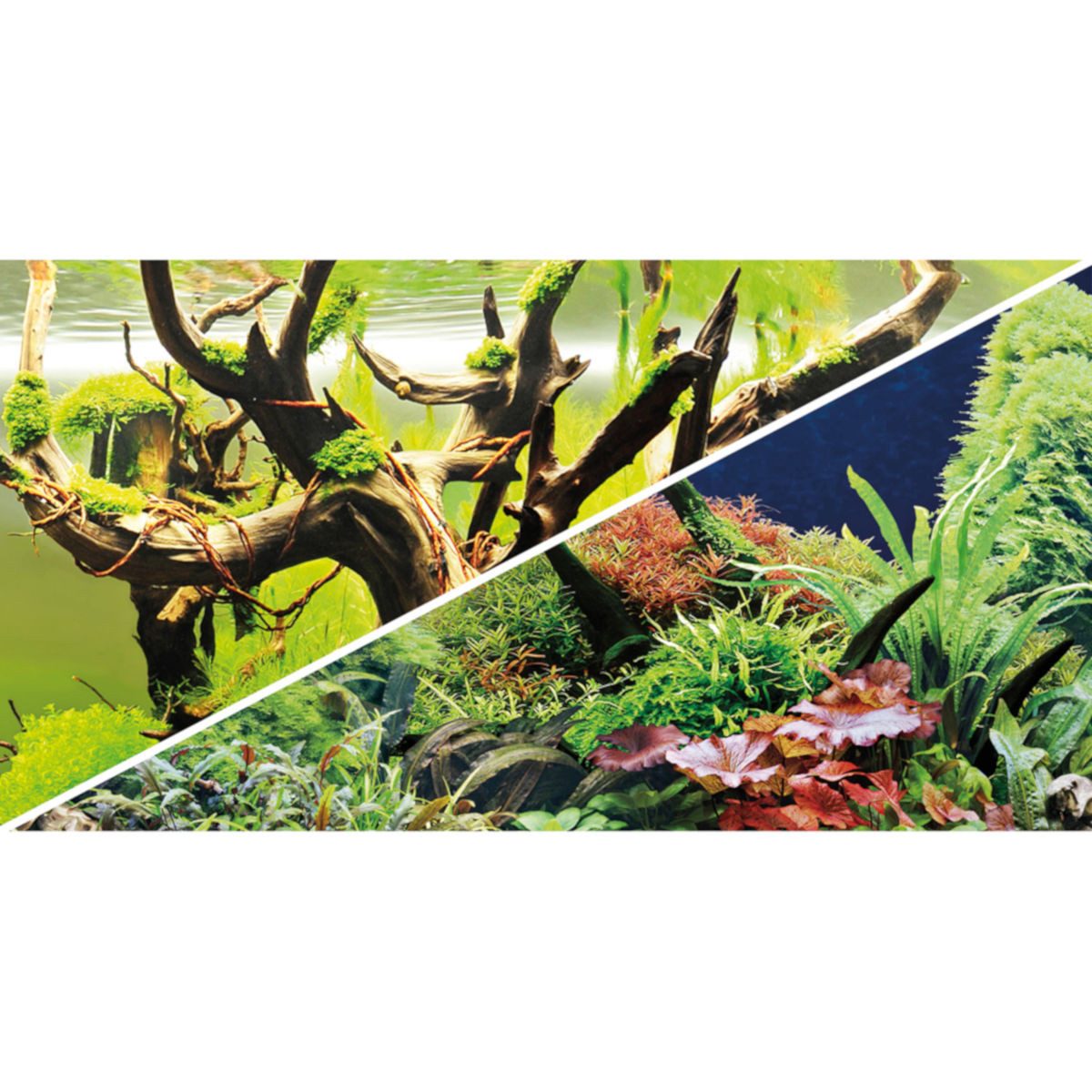 HOBBY Aquarienrückwand Fotorückwand Green Secret / Wood Island, 120 x 50 cm