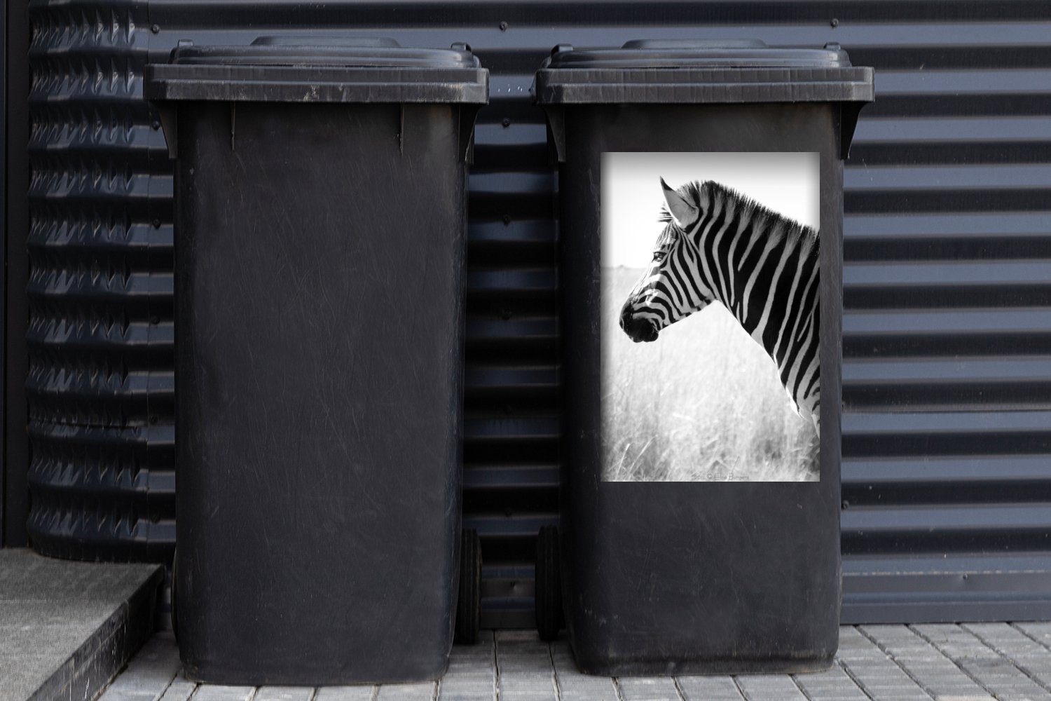 MuchoWow Wandsticker Zebra Sticker, Container, Gras hohen St), im (1 Abfalbehälter Mülltonne, Mülleimer-aufkleber