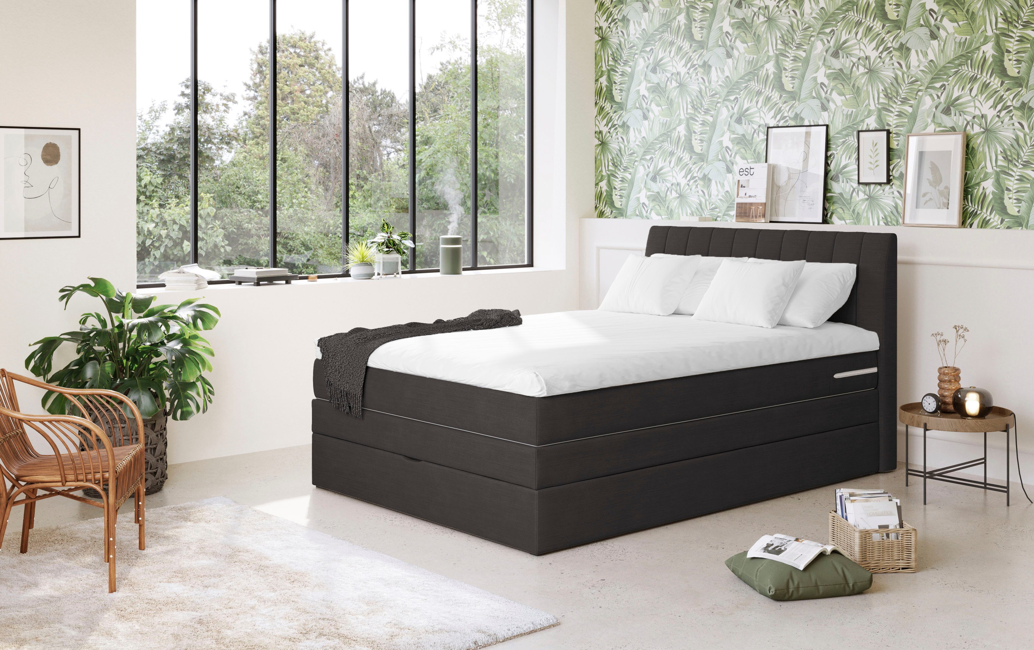 COTTA Boxspringbett Shark inkl. Bettkasten und günstig online kaufen