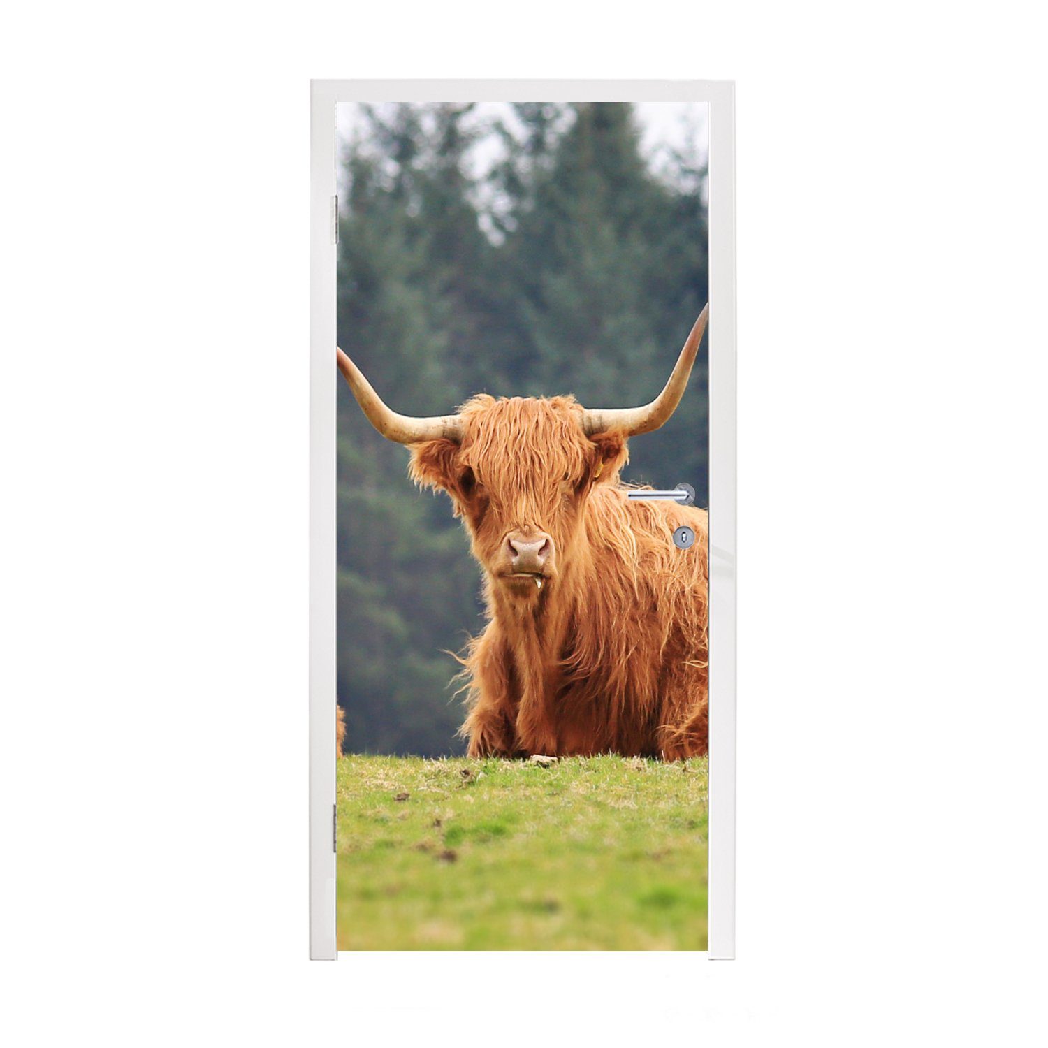MuchoWow Türtapete Schottische Highlander - Gras - Wald, Matt, bedruckt, (1 St), Fototapete für Tür, Türaufkleber, 75x205 cm | Türtapeten