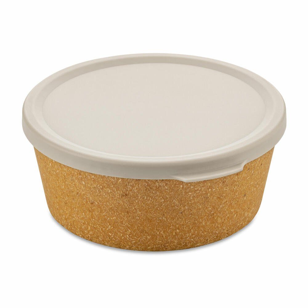 Baker Ross Aufbewahrungsgläser Mit Deckel – 6 Bunte Bastelbehälter Für Perlen & Pailletten
