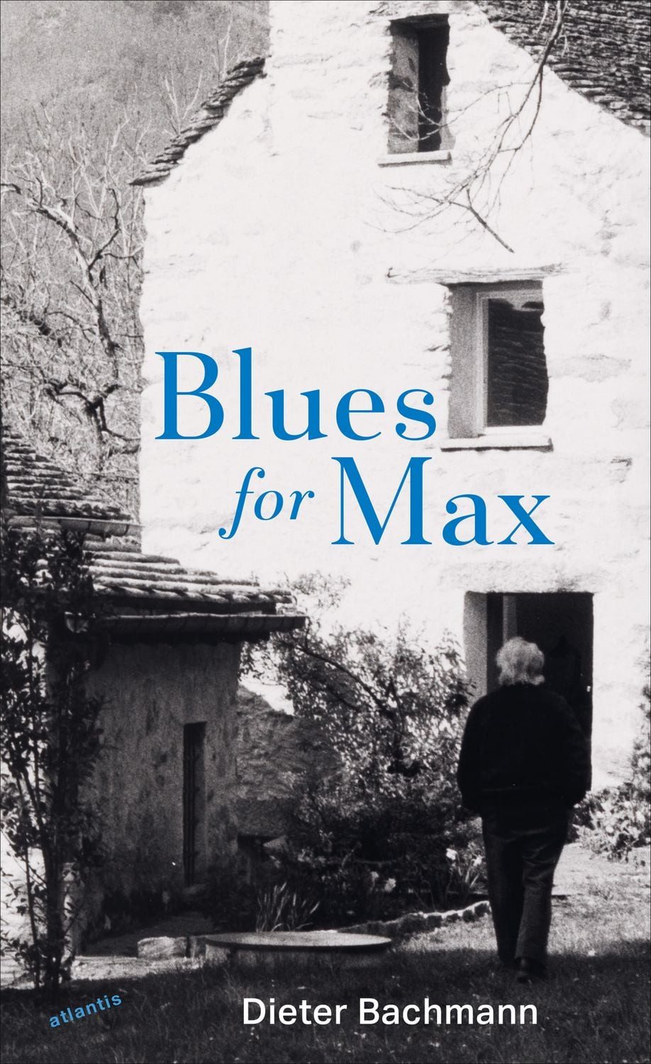 Blues for Max / Dieter Bachmann