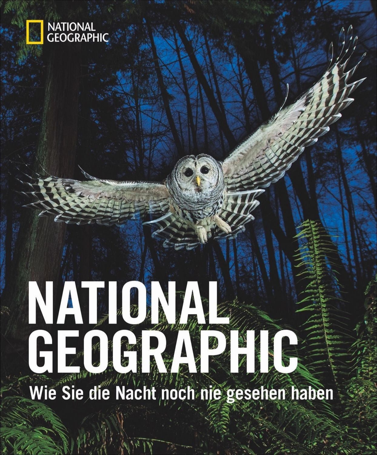 National Geographic / diverse, Wie Sie die Nacht noch nie gesehen haben