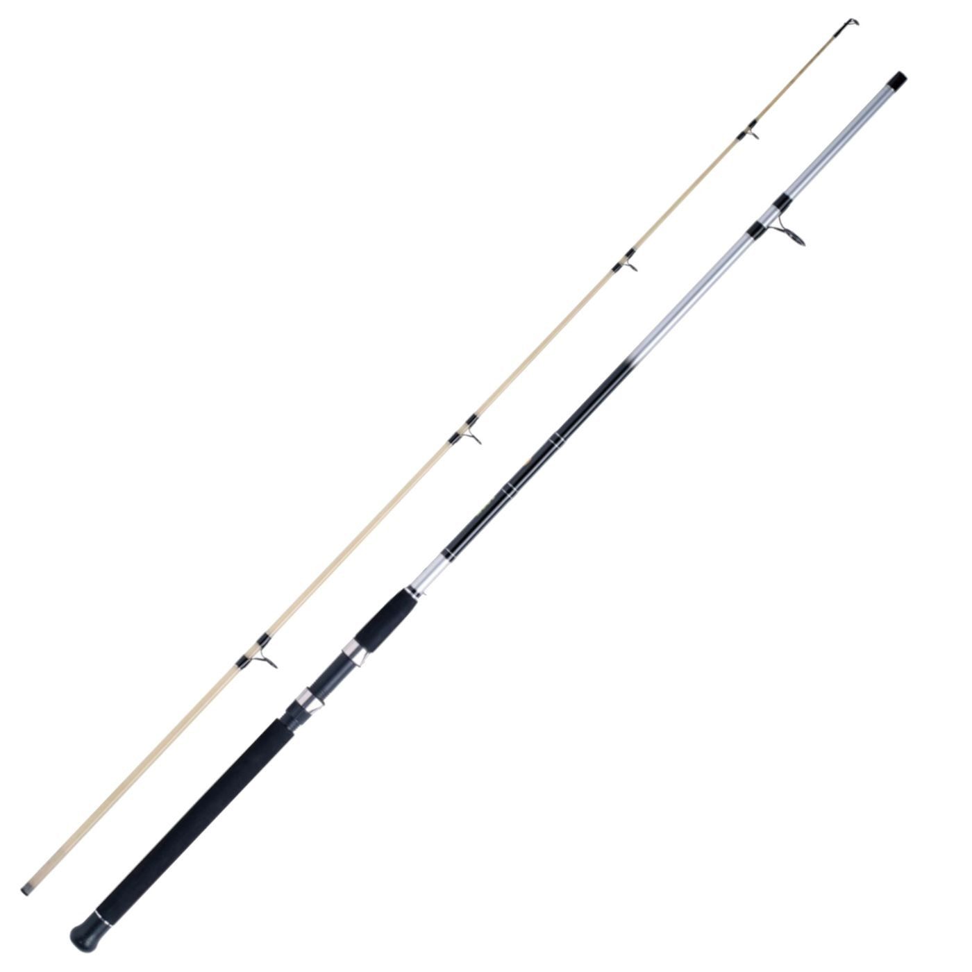 Aalrute WFT Loom Aal Spezial 40-90g 2,70m glow tip - Angelrute zum Aalangeln