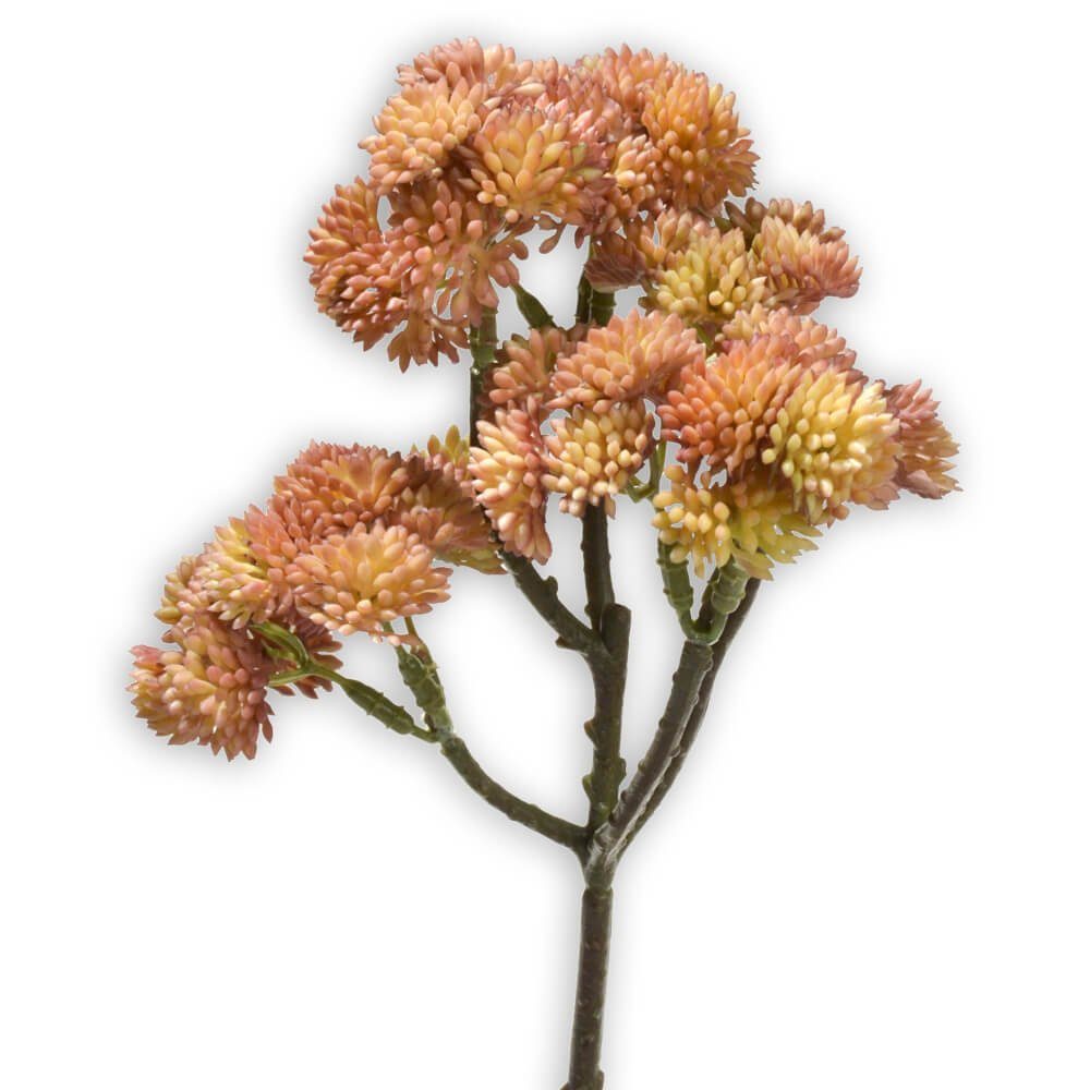 Kunstblume Fetthenne Kunstpflanze Dekopflanze 1 Stk 30 cm apricot Fetthenne, matches21 HOME & HOBBY, Höhe 30 cm, Indoor