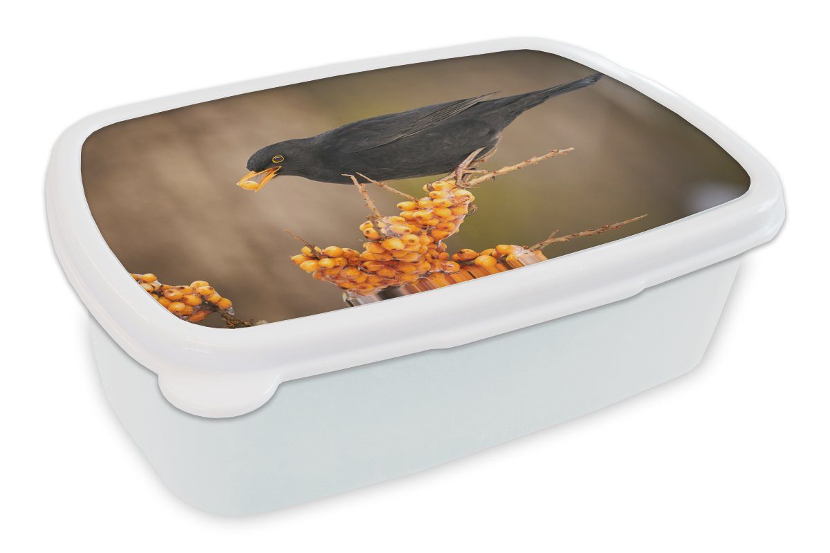 MuchoWow Lunchbox Vogel - Amsel - Winter - Eis - Beere, Kunststoff, (2-tlg), Brotbox für Kinder und Erwachsene, Brotdose, für Jungs und Mädchen weiß