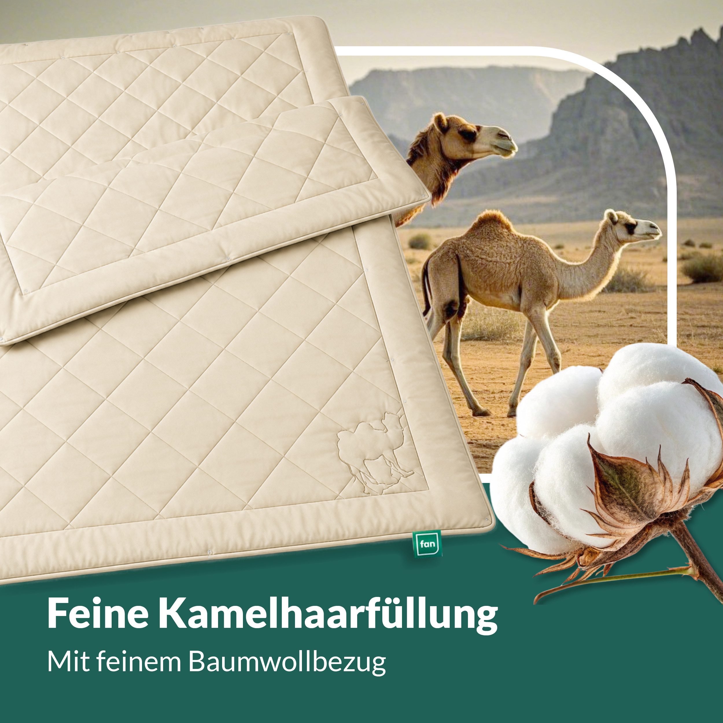 fan Naturhaarbettdecke Gobi, Bettdecken für Sommer und Winter, temperaturausgleichend, Füllung: Kamelhaar, Bezug: Baumwolle, Klimatisierende Kamelhaar-Füllung - – Bild 4 von 5